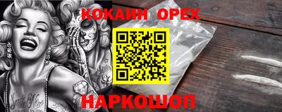ECSTASY Гатчина