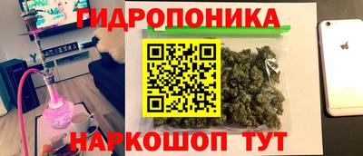 сатива Гай