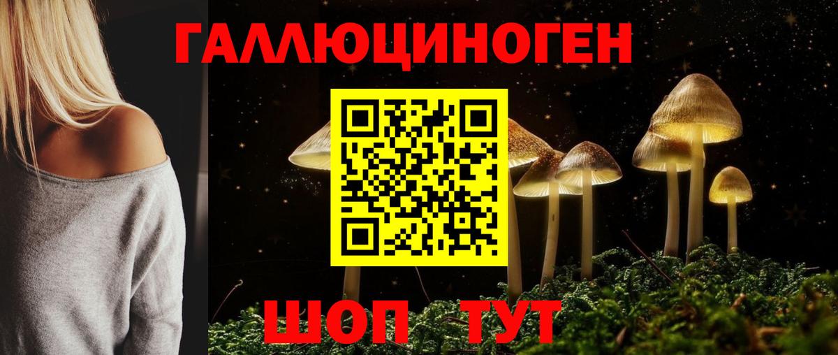 Галлюциногенные грибы Magic Shrooms  Галлюциногенные грибы Psilocybine cubensis  Липецк  Вход с VPN 